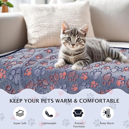 BVAGSS 6 x kleine wasbare en pluizige warme dekens voor honden en katten, bed en bank (XH075, 80 x 100 cm, grijs
