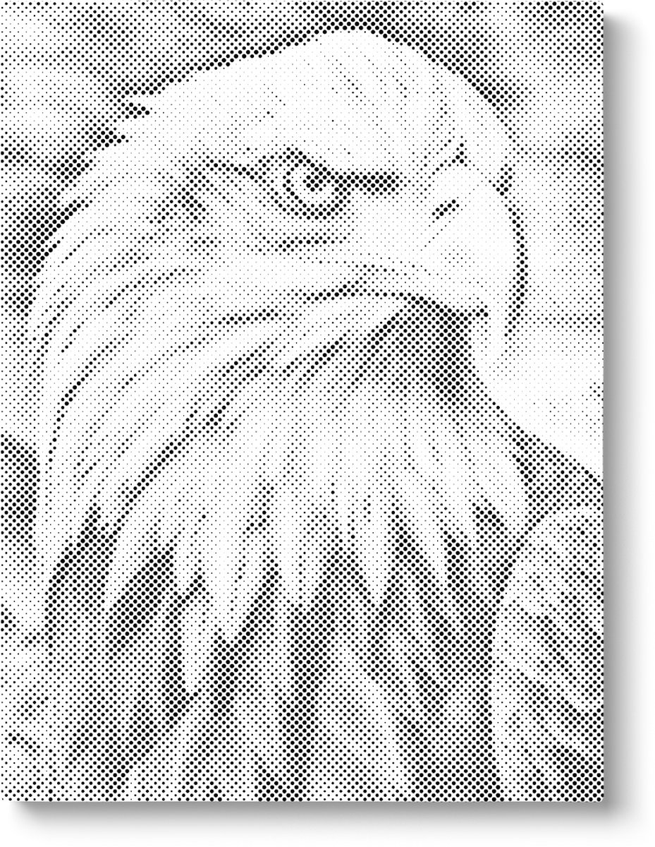 Adelaar | Dot painting | 30x40cm | Dot painting | Oh My Dotz | Dots stippen | Diamond painting & Schilderen op nummer alternatief | Happy hobby