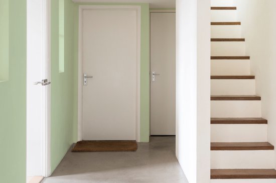 Levis EasyClean - Mur Mat Mix - Vert Clair C20 - 1L