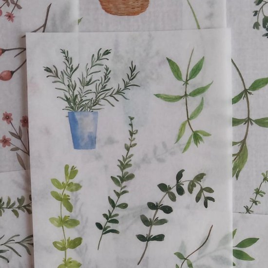 Washi Stickers Fijne Planten – 6 Vellen Met Stickers – US045 – Thema Ragfijne Planten, Takjes, Groen – Bullet Journal – Scrapbooking – Agenda Stickers – Decoratie Sticker