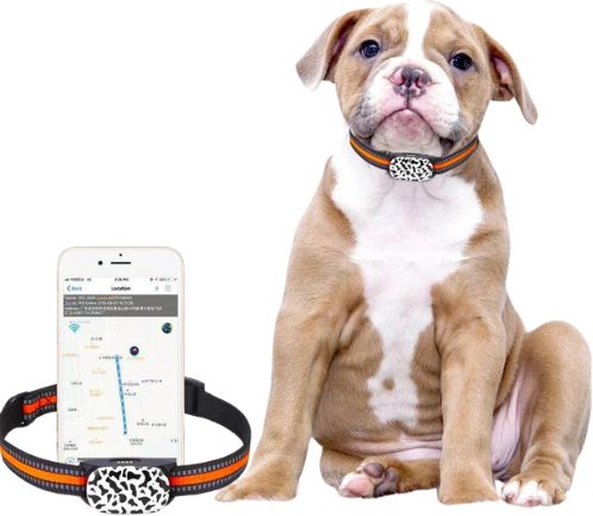 4G GPS Tracker Halsband voor Huisdieren – Waterdichte Real-Time Locator met Gratis App – Ideaal voor Honden & Anti-Diefstal Veiligheid