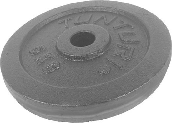Plaque d'haltère grise en fonte de 5 kg.