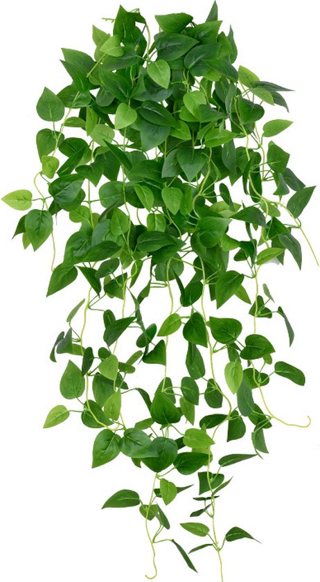 Volle, groene kunsthangplant met veel ovale bladeren en lange, soepele takken.
