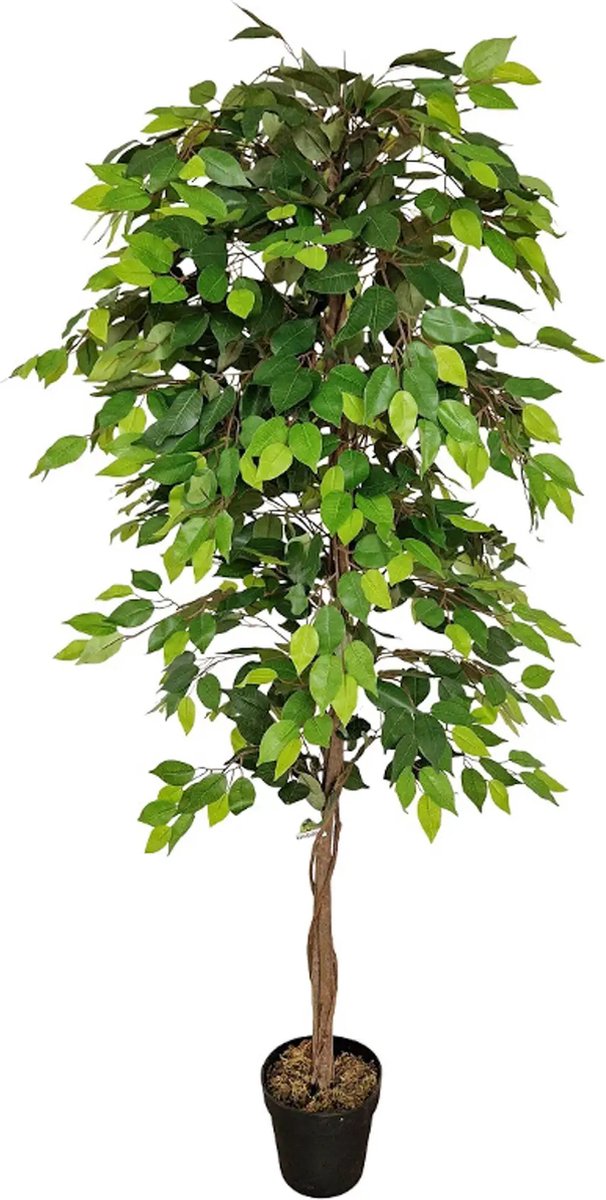 Kunstpalm Ficus Kunstboom - 180cm - Kunst Ficus plant - Kunstplant op stam - Mixgroen Donkergroen