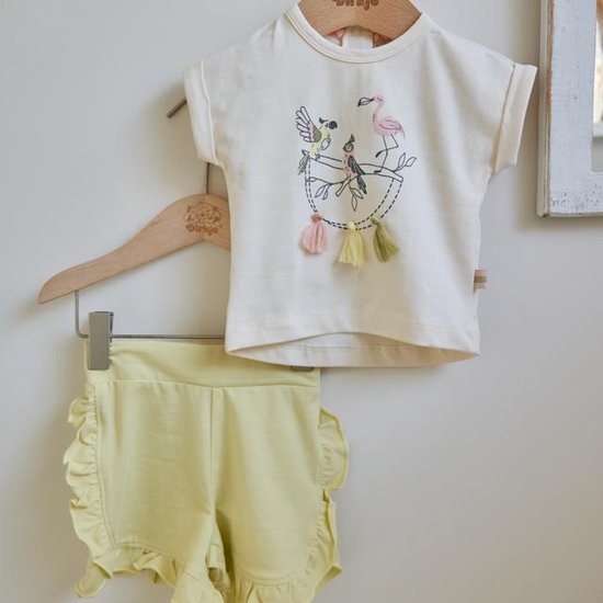 Ensemble de vêtements Filles Dirkje - Vert tendre