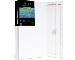 Elan Schildersdoeken 30x60 CM, 6 Stuks Canvasdoeken 30x60 CM, 100% Katoenen Canvas voor Schilderen, Stretched Canvas, Painting Canvas 30x60 CM, Pre Primed Canvas, Schilderdoek 30x60 CM