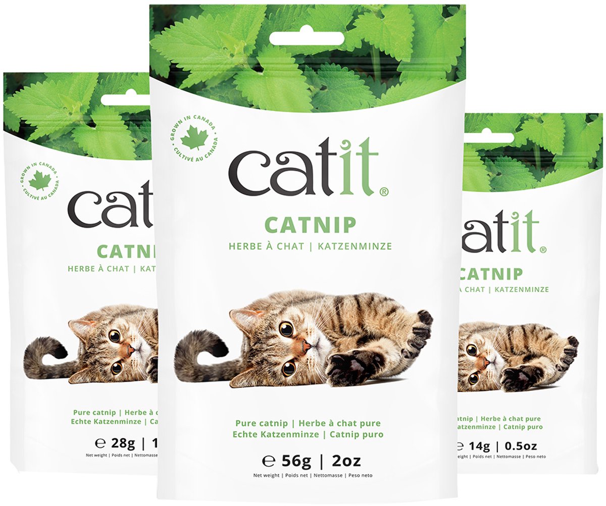 Catit CA Catnip 28g