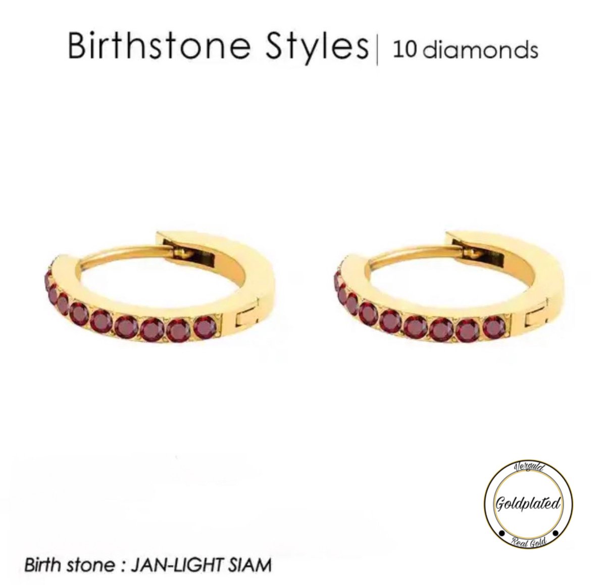 Soraro Birthstone Oorbel | Januari | Goudkleurig | Oorbel voor Haar | Elegant | Cadeau Voor Haar | Cadeau Voor Vriendin | Verjaardag Cadeau | Moederdag Cadeau | Cadeau Ideeën