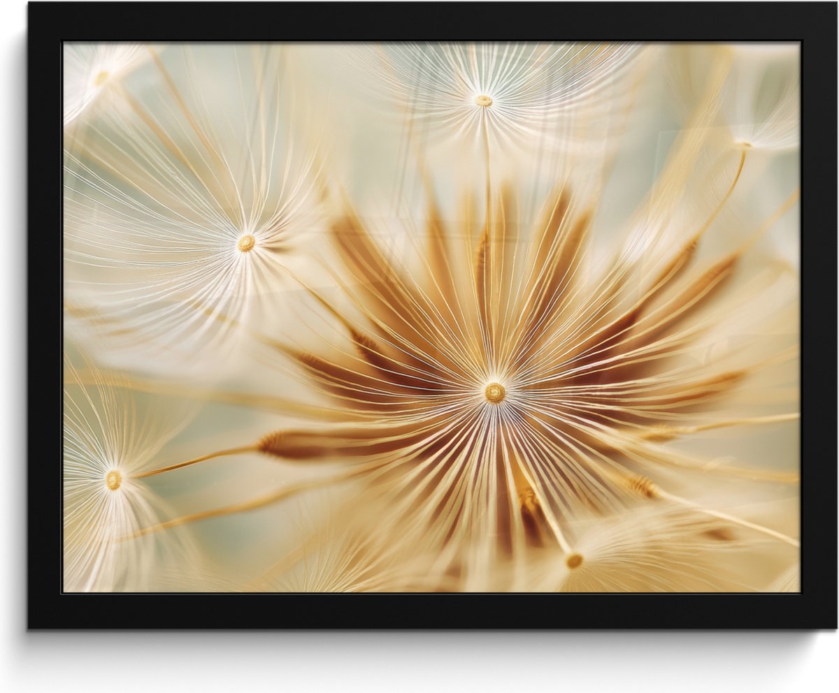 FrameYourWall Poster in lijst - Fotolijst 40x30 cm - Posters - Paardenbloem - Beige - Abstract - Modern - Natuur - Posterlijst zwart - Decoratie - Wanddecoratie woonkamer - Muurdecoratie slaapkamer Paardenbloem - Abstract