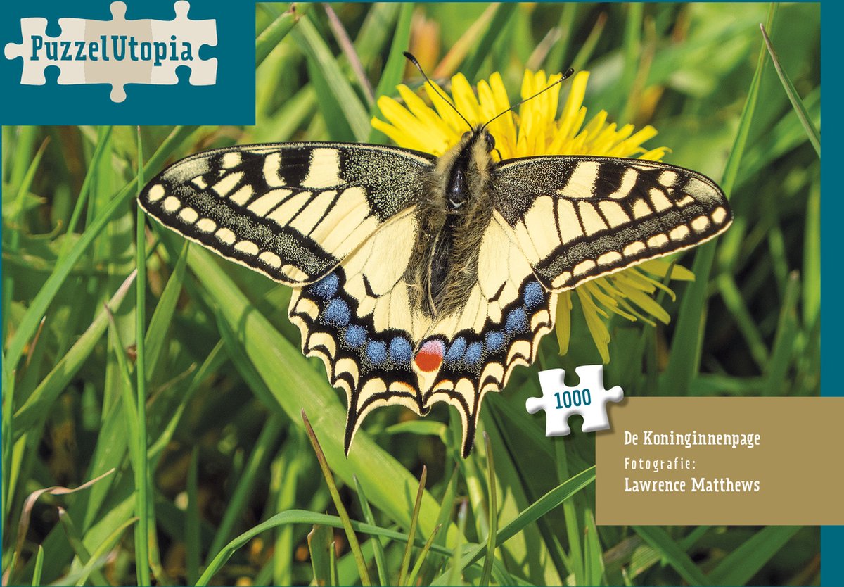 PuzzelUtopia legpuzzel Koninginnenpage