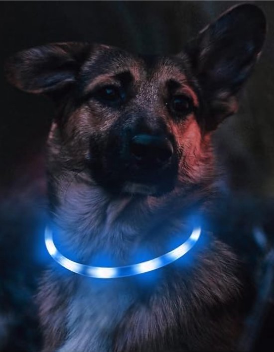 Lichtgevende