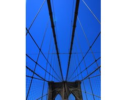 My New York