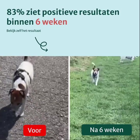 Heup & Gewrichten - 100% Natuurlijk - 60 snoepjes - Ondersteunt Soepele Gewrichten & Behoud van Kraakbeen - All-in-One-Formule