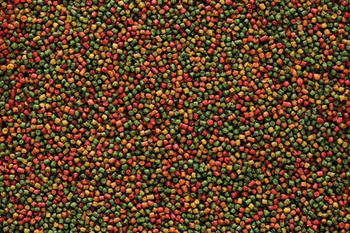 Nutribird C15 - Nutribird C15 3 kilo - Nutribird - Vogelvoer - Pellets - Nutribird