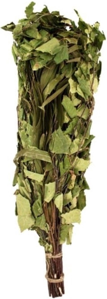 Goedkoopste Emendo Berken - Eucalyptus takken