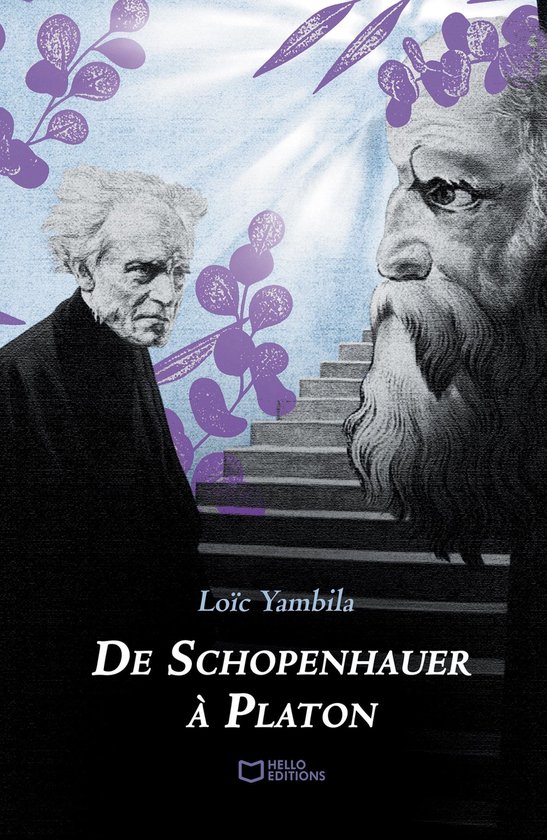 De Schopenhauer à Platon