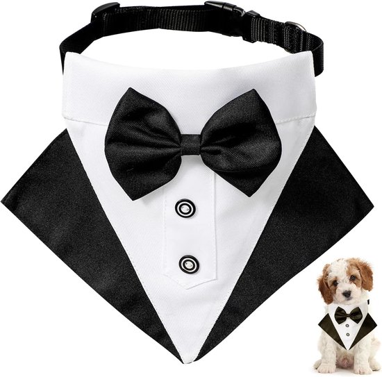 Katten Decoratie Beeld - Top Cat - - Katten Sieraden, Accessoires en Kado Winkel