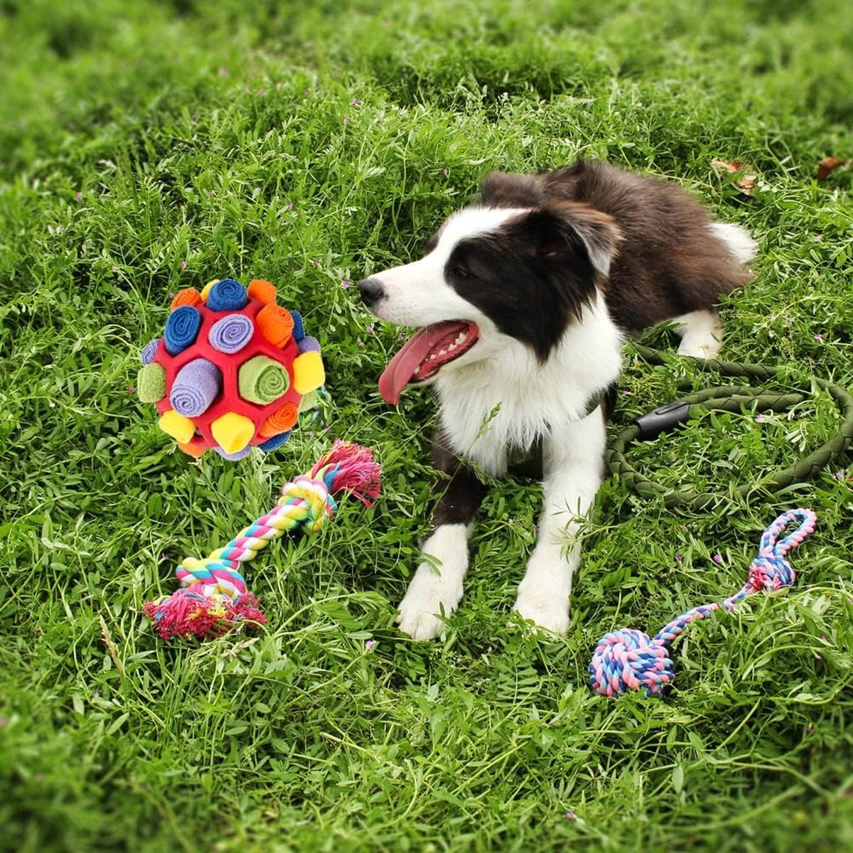 Napfgeflüster® - Sniffing Rug BALU - Intelligence Toy for Dogs - Dog Napfgeflüster® - Sniffing Rug BALU - Intelligence Toy for Dogs - Dog