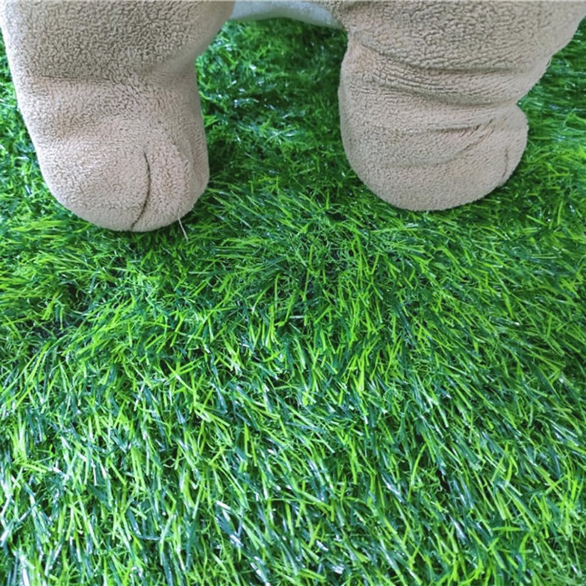 Gras