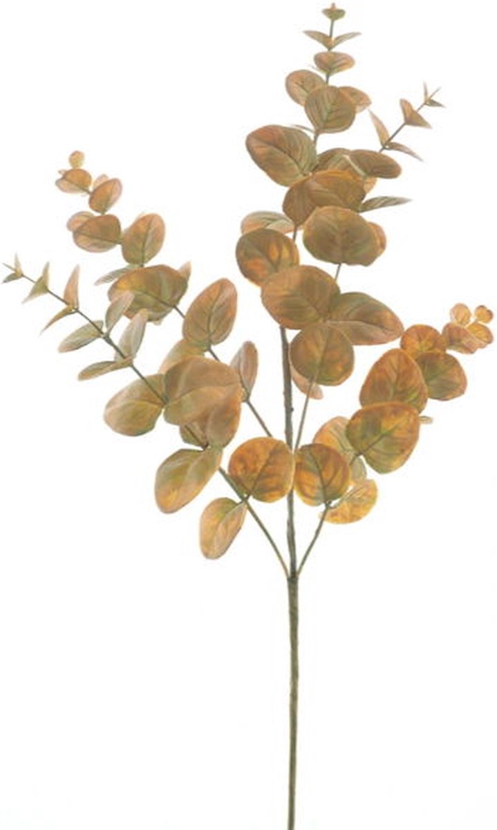 Hortus Kunsttak eucalyptus monica yellow, 63 cm Hortus onbekend