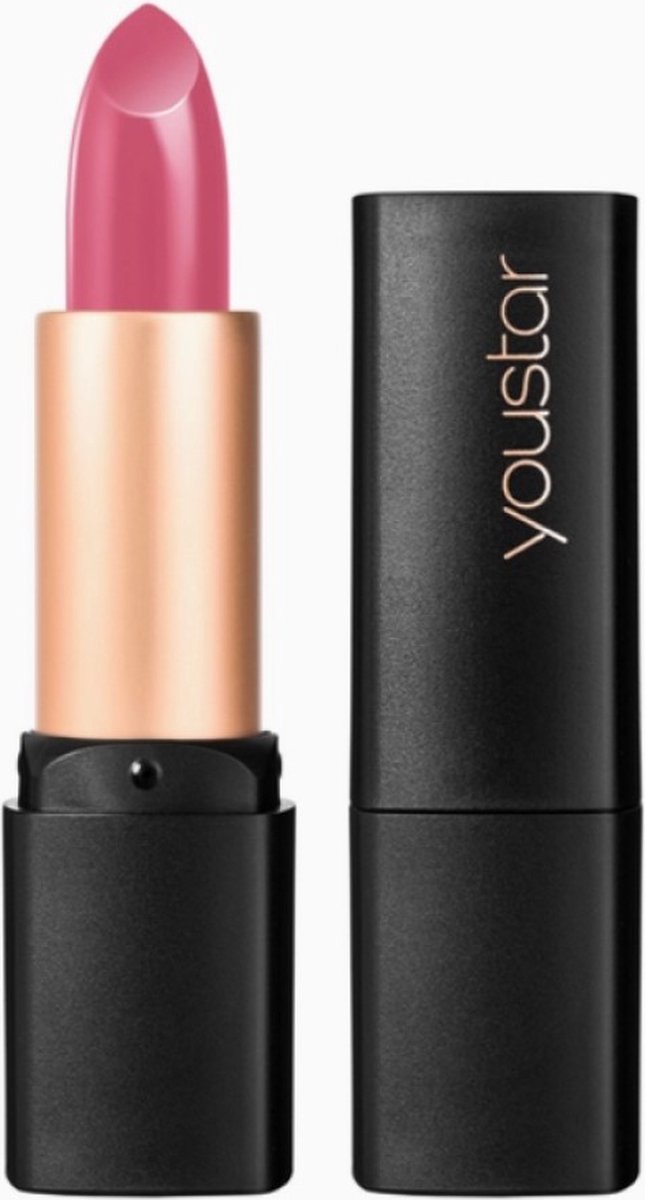 Goedkoopste Natuurlijke Intense kleur en shine Lipstick - glanzend lippen - hydraterend - Nr. 02 Nude Rose 3gr