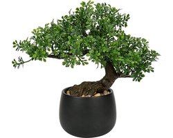 25 cm Kunstplant Bonsai Boom - Keramische Pot - Esthetische Japanse Decoratie