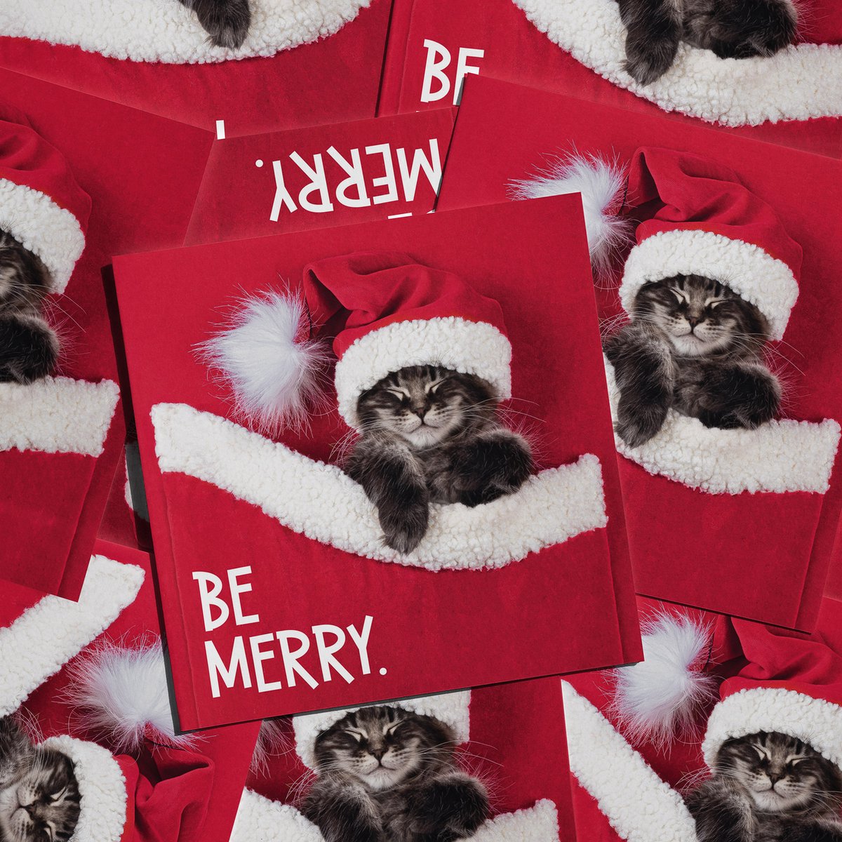 Cat'chy Images Cards - kaarten - kerstkaarten - poezen - set10