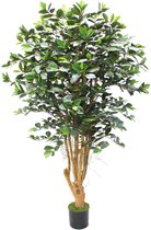 Tropische neppe planten: zo koop je er eentje van kwaliteit 25 Overzicht kunstplant ficus - Bol.com