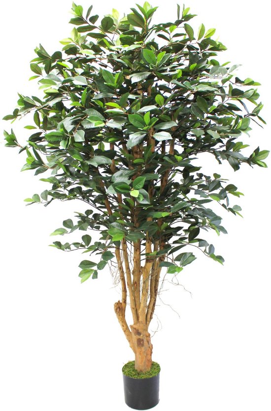 Ficus Plante Artificielle 180cm | Grande plante artificielle pour l'intérieur | Ficus artificiel 180cm | Faux ficus | Arbre artificiel 180cm