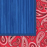 Bandana & Blue Jeans Servetten 33 X 33 Cm 16 Stuks