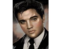 TOPMO- Elvis Presley Headshot - 40X50CM- Diamond painting pakket - HQ Diamond Painting - VOLLEDIG dekkend - Diamant Schilderen - voor Volwassenen – ROND