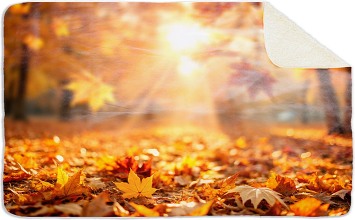 Fleecedeken Herfst zonnetje, 96x146cm, Polyester Sherpa, print deken, FD2024984