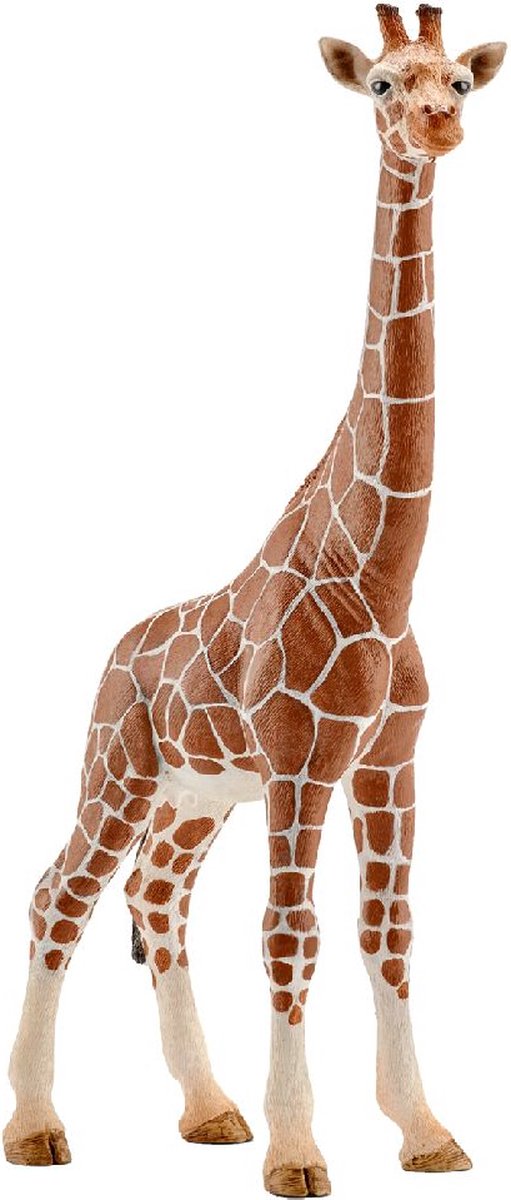 schleich WILD LIFE - Vrouwtjesgiraf - Speelfiguur - Kinderspeelgoed voor Jongens en Meisjes - 3 tot 8 jaar - 14750 — afbeelding 5