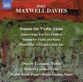 Duccio Ceccanti & Vittorio Ceccanti & Matteo Fossi & Can - Sonata For Violin Alone (CD)