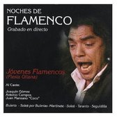 Jovenes Flamencos. Noches De Flamen