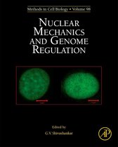 Nuclear Mechanics & Genome Regulation