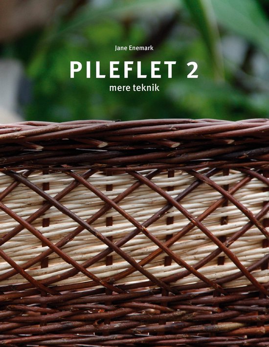 Pileflet 2 - cover