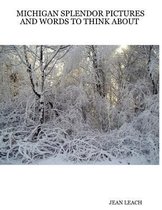 Michigan Splendor Pictures and Words to Think About