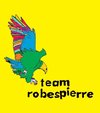 Team Robespierre - Everything's Perfect (LP)