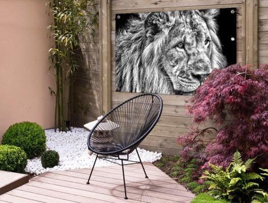 Affiche de jardin Lion en hiver 60x40 cm - Photo sur affiche de jardin / Peintures pour l'extérieur (décoration de jardin)