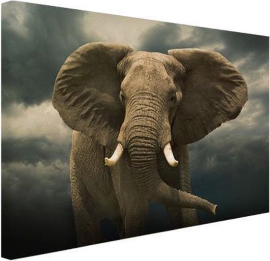 Inloggegevens Vermoorden Lastig Canvas Schilderij Afrikaanse olifant tegen de donkere wolken - 90x60 cm -  Wanddecoratie | bol.com