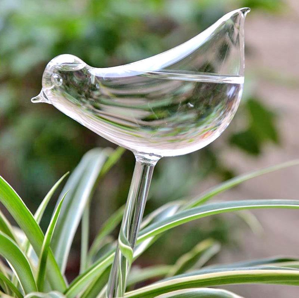 planten watergever glazen vogel (set van 2) | bol