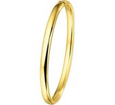 The Jewelry Collection Bangle Scharnier Half Ronde Buis 5 X 60 mm - Geelgoud