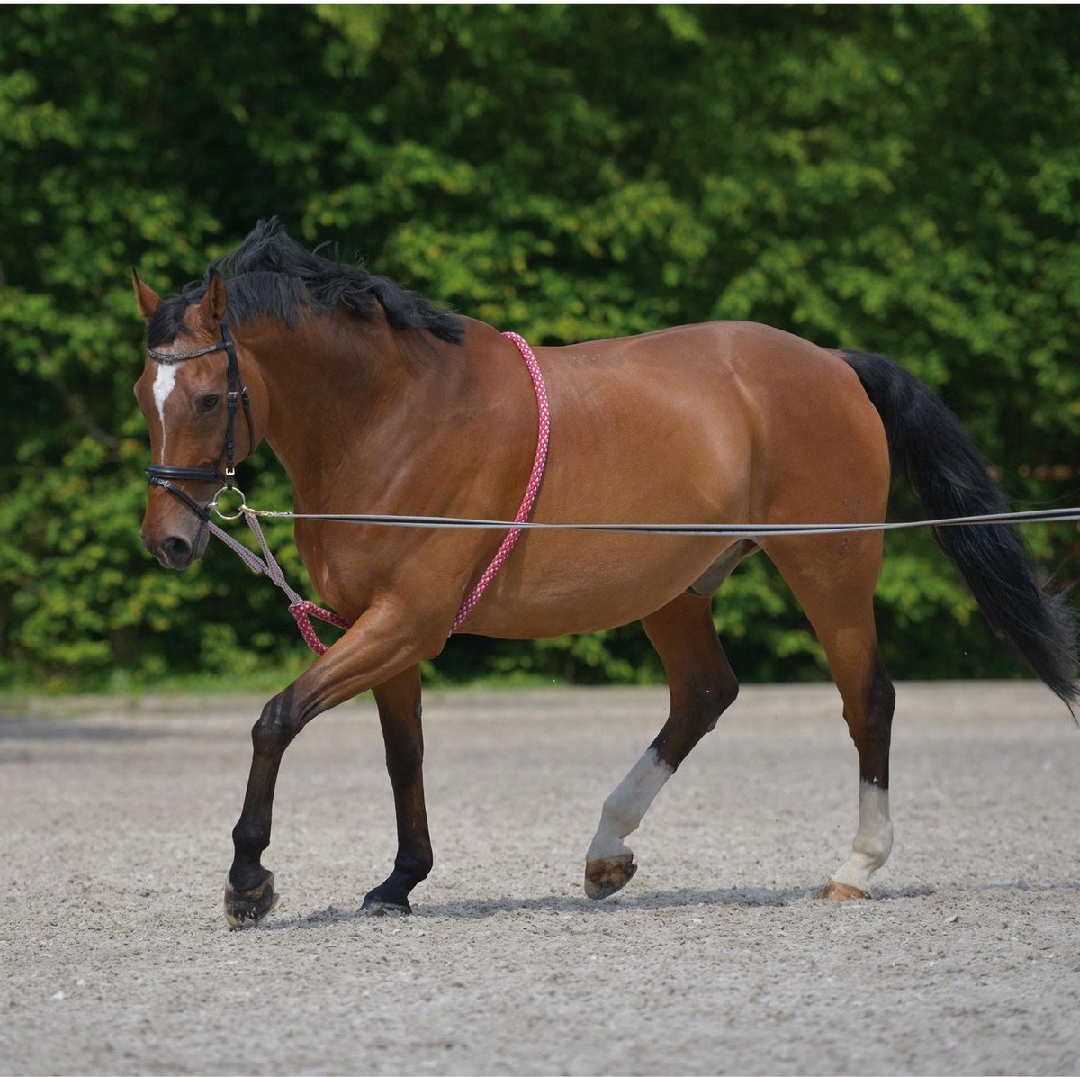 Longeerhulp roze grijs maat full
