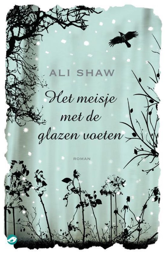 Het Meisje Met De Glazen Voeten - Ali Shaw | Do-index.org