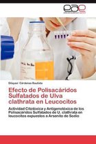 Efecto de Polisacaridos Sulfatados de Ulva Clathrata En Leucocitos