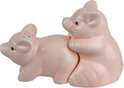 Out of the Blue Salt & Papper Shaker Piggy - Peper- en zoutstel