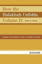 How the Halakhah Unfolds, Volume IV