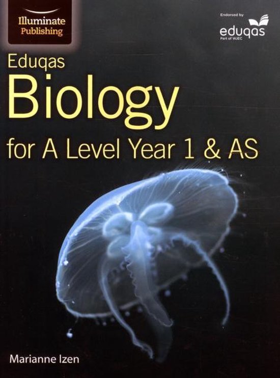 Summary Eduqas A Level Biology -  3.3 Adaptations for Nutrition 
