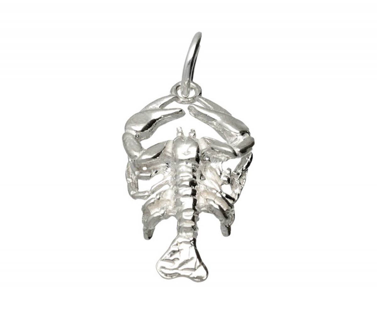 Zilveren Sterrenbeeld Kreeft ketting hanger - groot